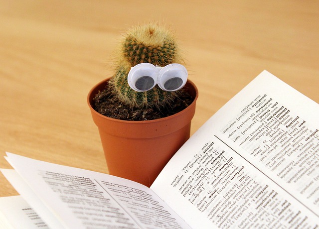 Cactus con ojos busca información en una enciclopedia