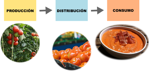 Actividad económica