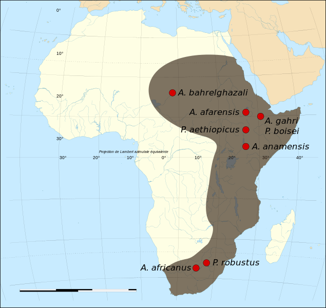 Mapa de los yacimientos fósiles y propagación del Australopithecus y Paranthropus, desde hace 4,3 m.a. hasta 1 m.a..