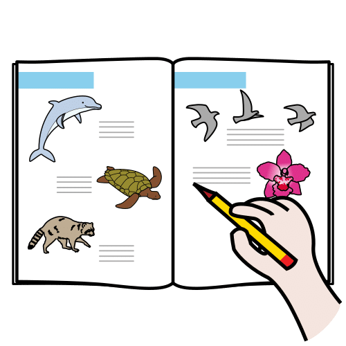 En un libro abierto se puede ver una hoja con distintos tipos de animales