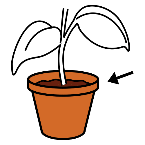 Pictograma de un macetero con una planta