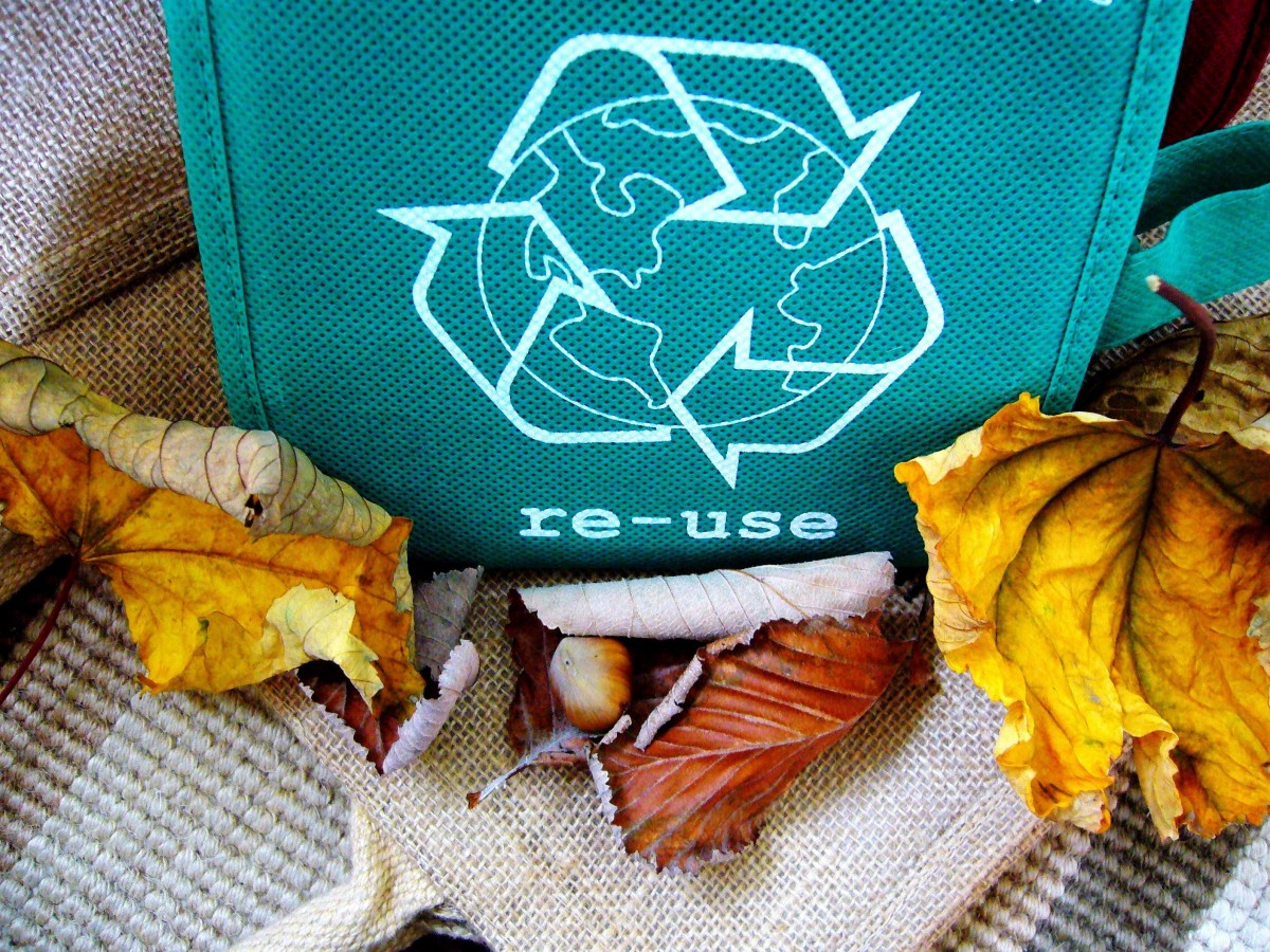 Imagen de una bolsa verde con el icono del reciclaje y unas hojas caídas delante de ella