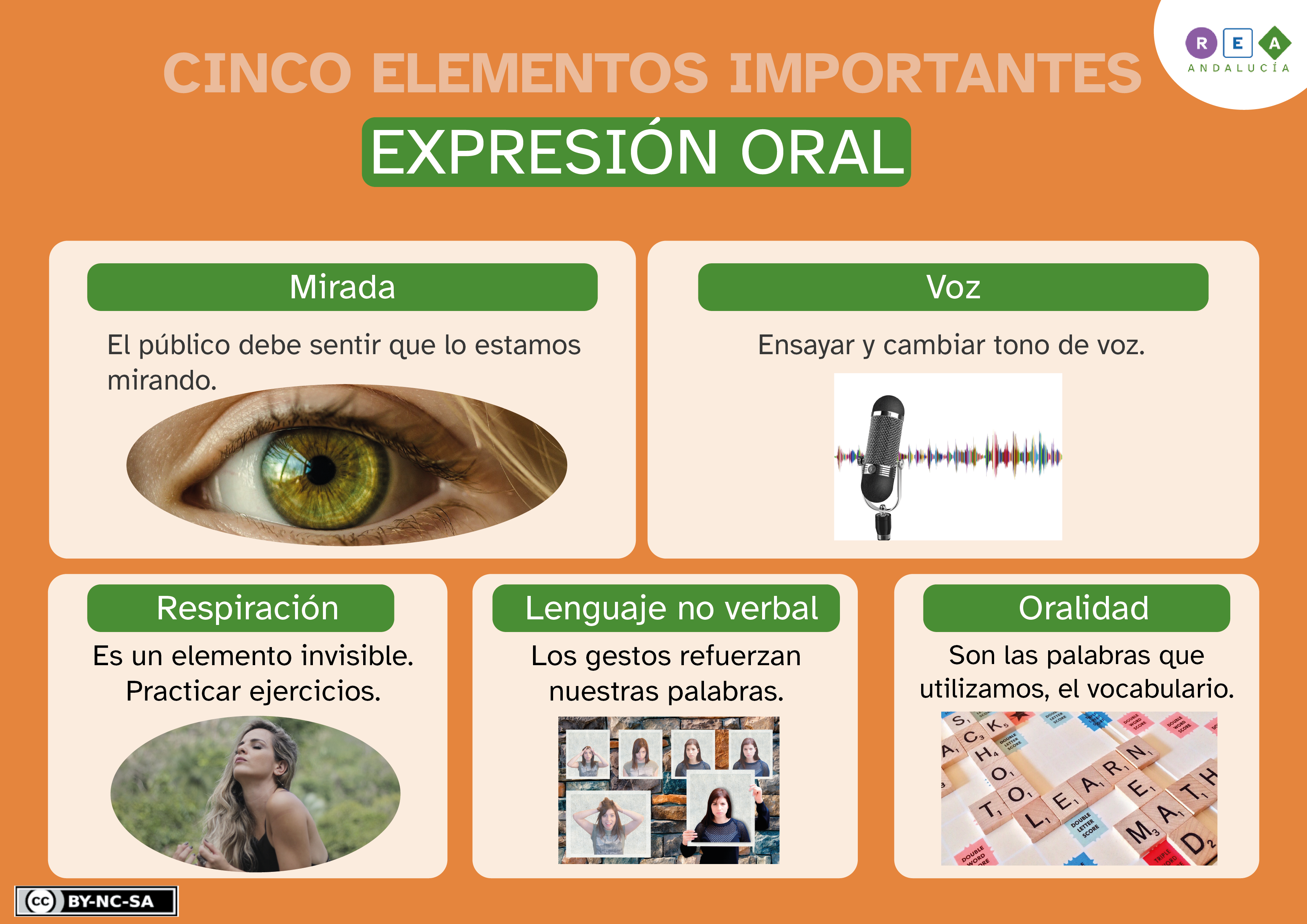 Infografía expresión oral