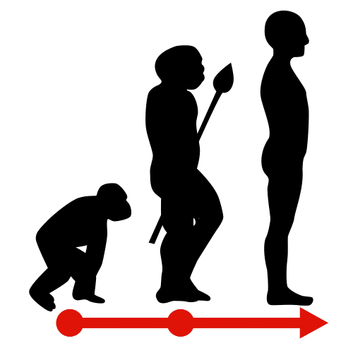 Figura humana en tres fases de evolución, de mono a ser humano, para describir un desarrollo coherente y lógico de una acción o argumento que avanza u ocurre.