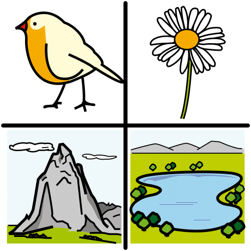 En la imagen aparece un pájaro, una flor, una montaña y un lago