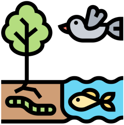 Un árbol, una lombriz, un pez y un ave en la imagen aparecen.