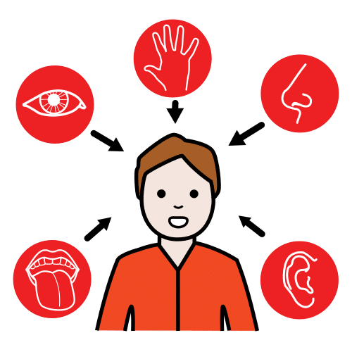 La imagen muestra una persona rodeada por símbolos de los  5 sentidos.