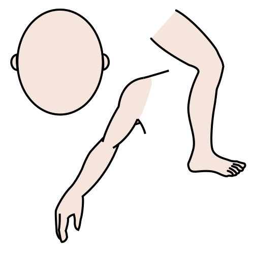 La imagen muestra diferentes partes del cuerpo.