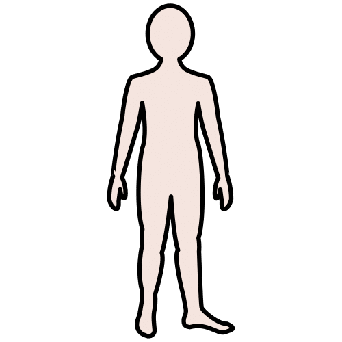 La imagen muestra una figura de un cuerpo humano.