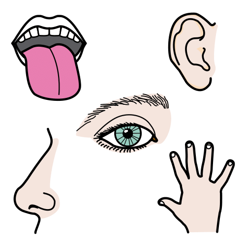 La imagen muestra una boca que saca la lengua, un ojo, una oreja, una nariz y una mano.