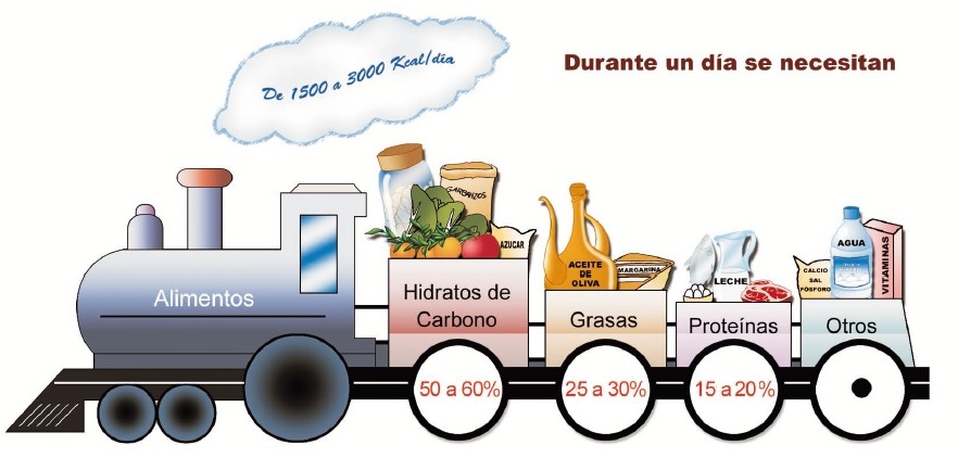 Dieta