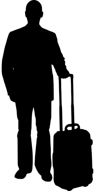 silueta viejero