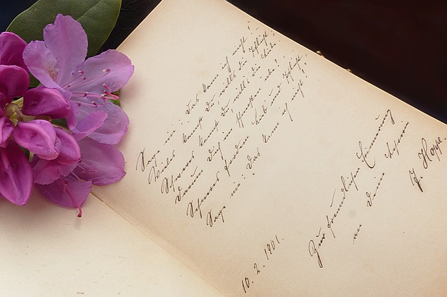 Libro y pluma