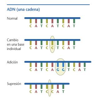Mutación del ADN