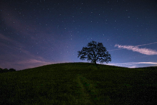 Vista noctura de una pequeña elevación del terreno con un gran árbol en ella y un cielo estrellado