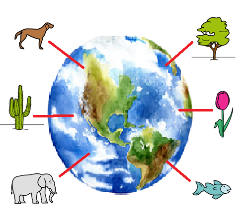 El planeta  Tierra en el centro y alrededor aparecen imágenes de animales y plantas