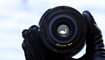 Objetivo de una cámara de fotos y en el centro la imagen de un cisne blanco
