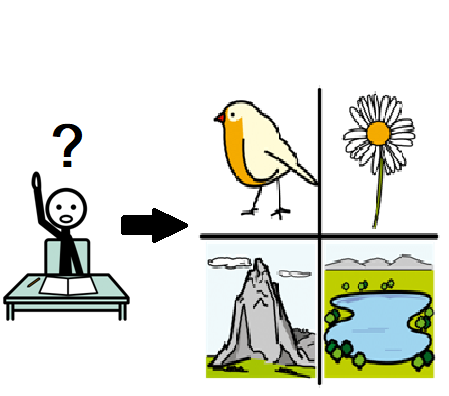 A la izquierda una persona con la mano levantada y un signo de interrogación sobre su cabeza. En el centro una flecha señalando un cuadro con un pájaro, una flor, una montaña y un lago que hay a la derecha