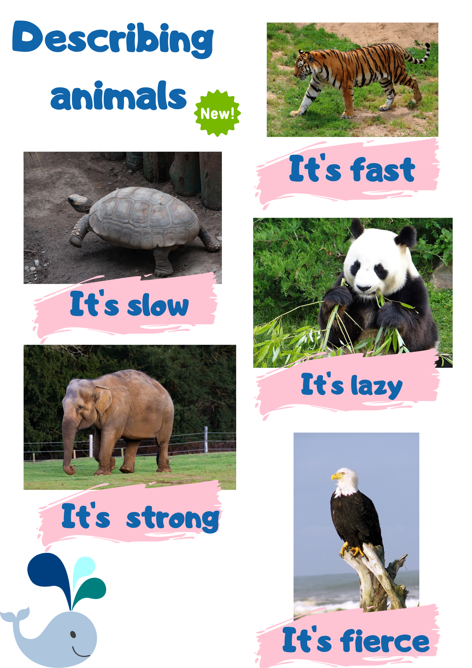 Describiendo animales