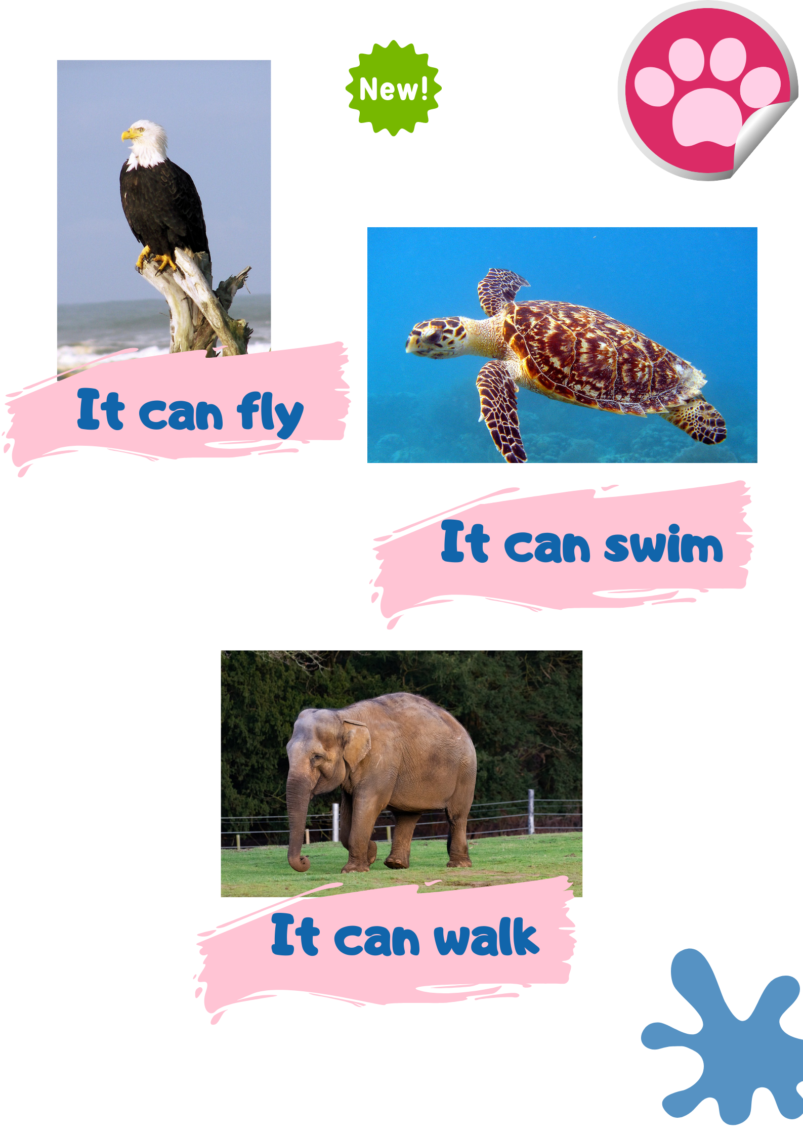 La imagen muestra un águila, una tortuga, y un elefante.