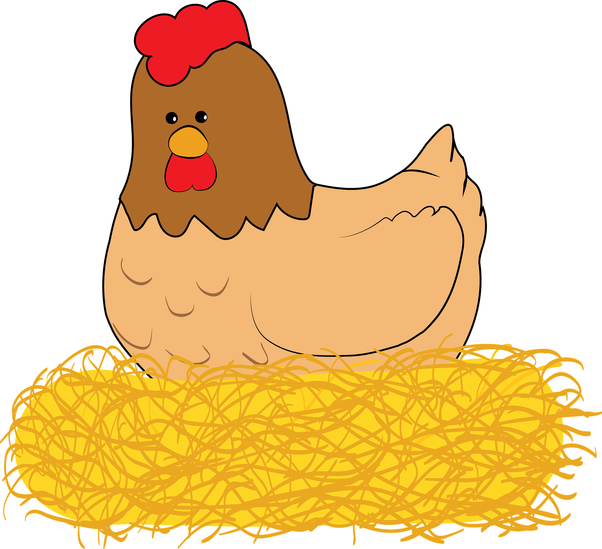 La imagen muestra un pollo.
