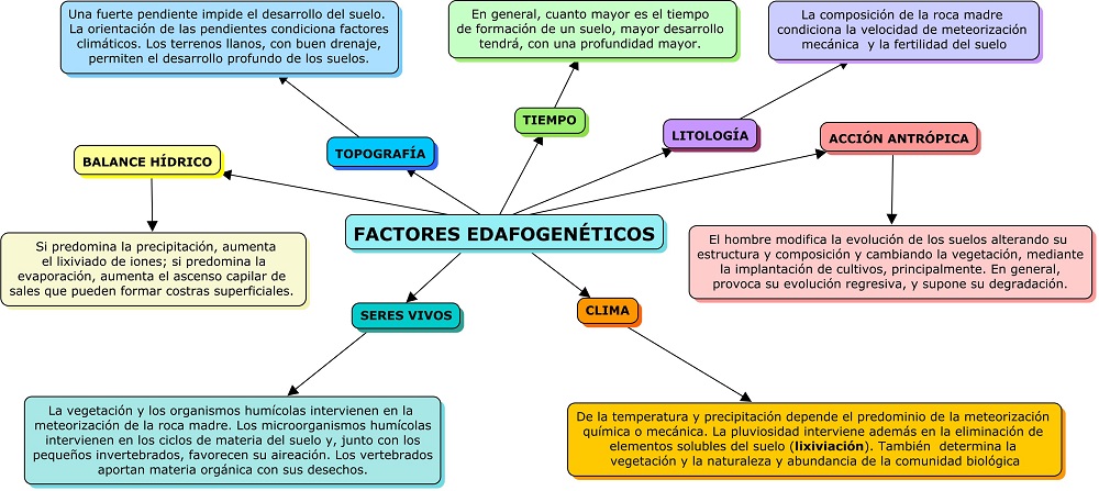 Factores edafogeneticos