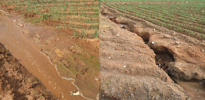 Suelo erosionado