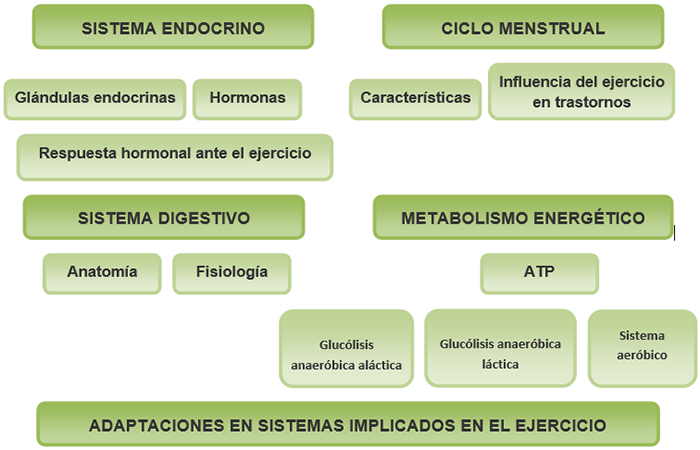 Mapa conceptual Mapa conceptual