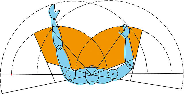 Simetría bilateral del cuerpo humano