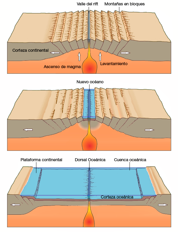 dorsal oceánica y valle del rift