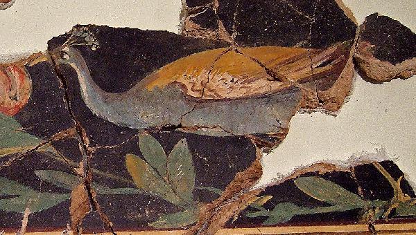 Fresco romano con la imagen de un pavo real