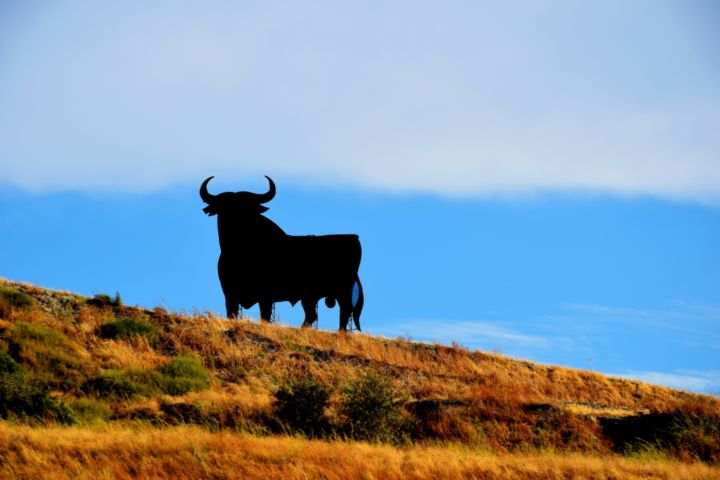 Foto del toro de Osborne.