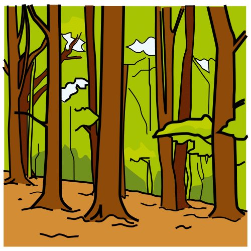 Dibujo de un bosque
