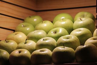 manzanas