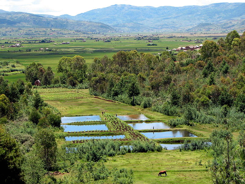 Paisaje agrario en Madagascar