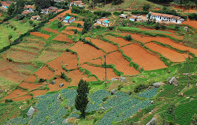 Un paisaje agrario de la India