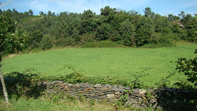 Paisaje agrario en Asturias