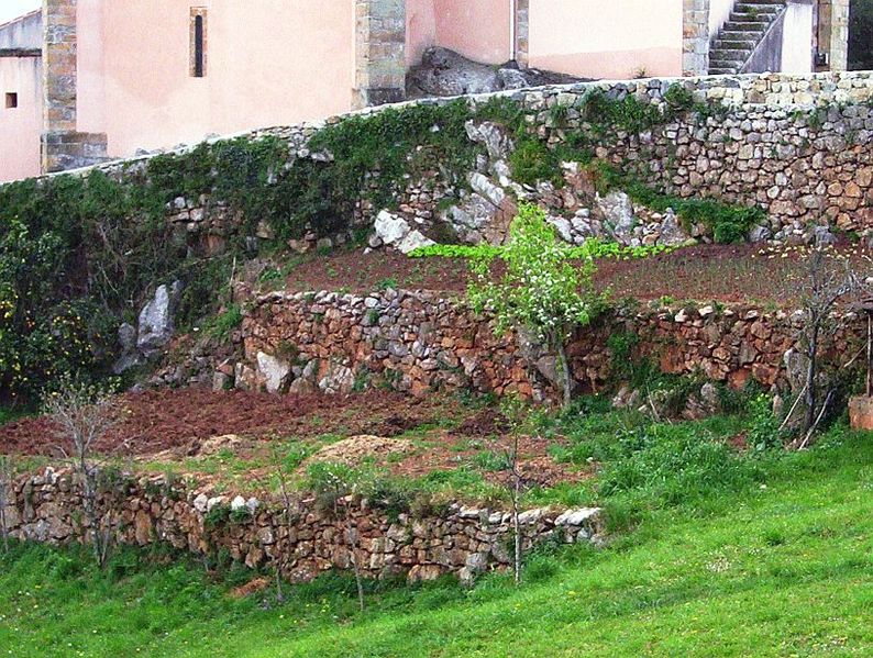 Los bancales permiten crear estrechas zonas llanas en una ladera empinada.