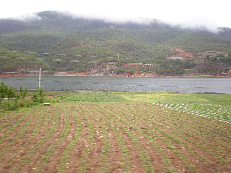 Los suelos de limo, que se encuentran las llanuras cercanas a los grandes ríos, son los más favorables para la agricultura.