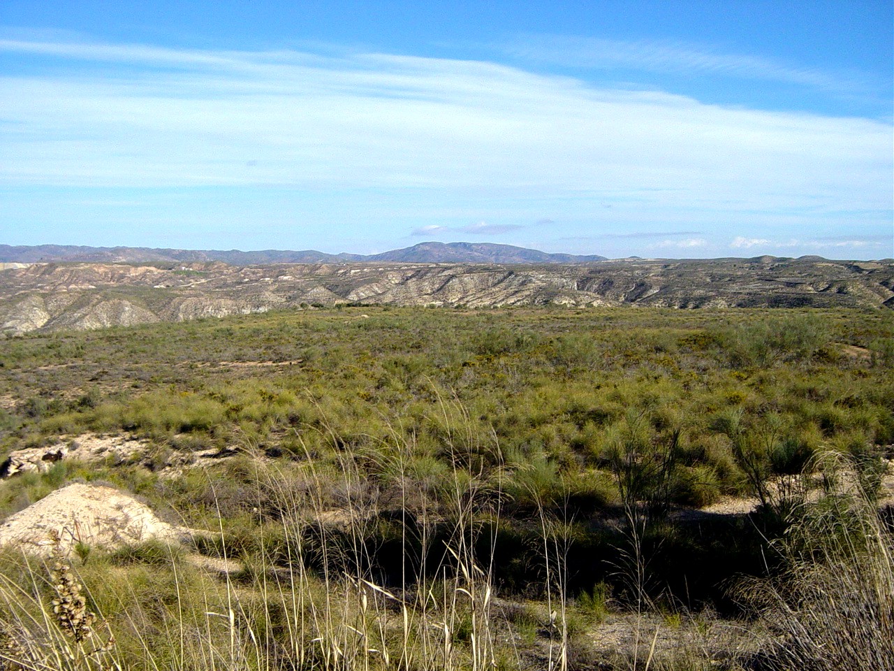 Paisaje agrario en Sorbas (Almería).
