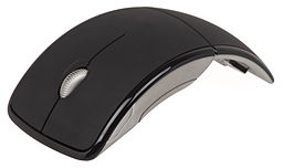 ratón