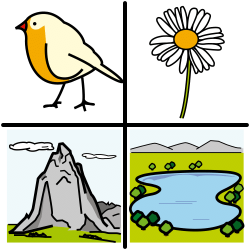 La imagen muestra un pájaro, una flor, una montaña y una gran masa de agua.