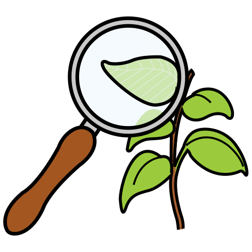 La imagen muestra una lupa examinando una planta con hojas.