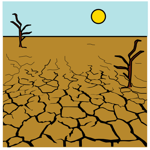 La imagen muestra un terreno agrietado y seco, con dos árboles sin hojas y  con el sol al fondo.