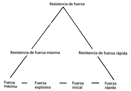 Las interacciones de las tres formas principales de la fuerza