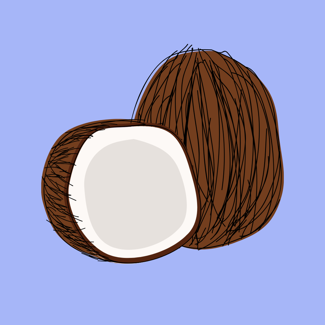La imagen muestra un coco.