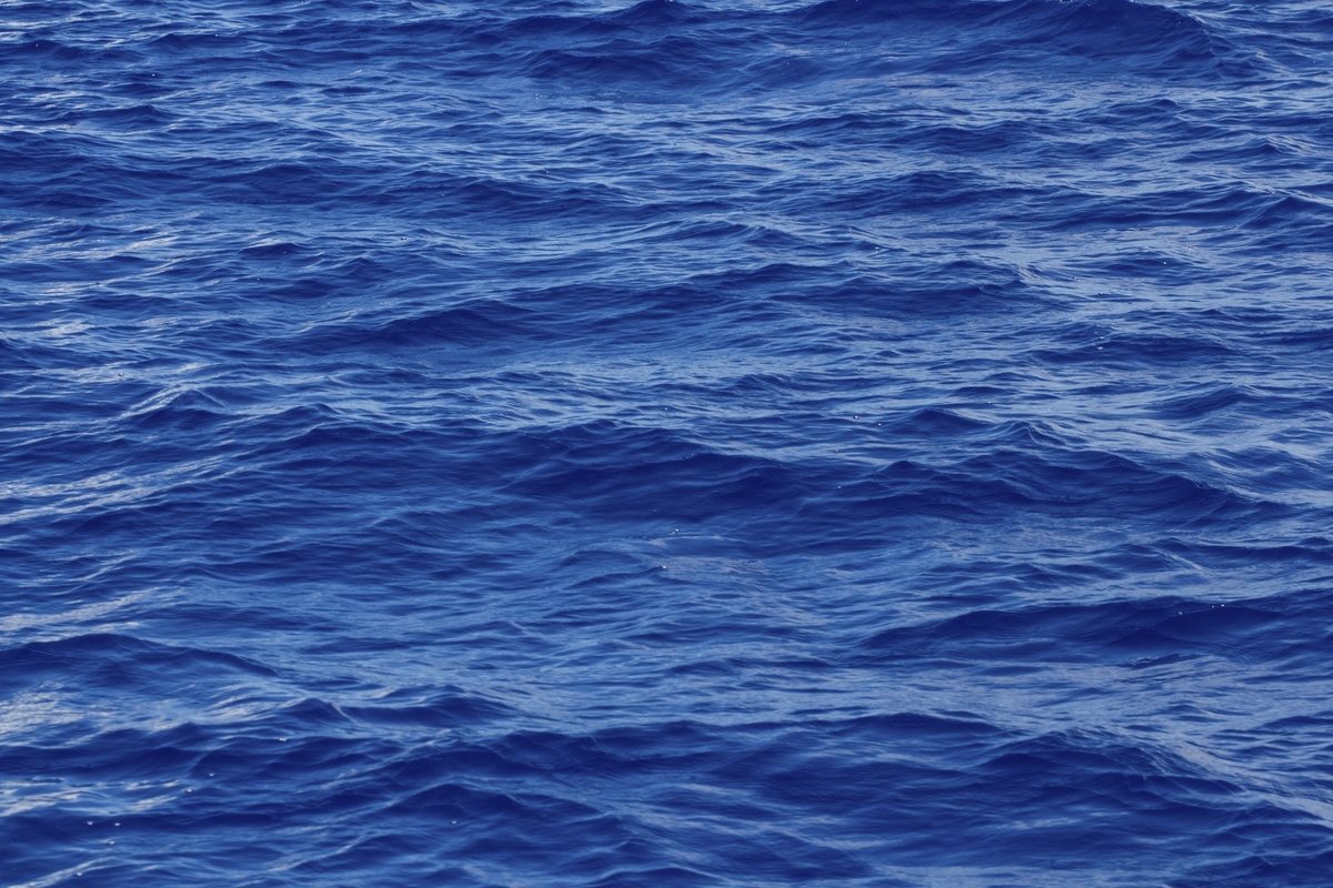 Mar azul.