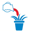 consejo 8