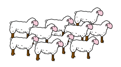 Grupo de diez ovejas para ser conadas.