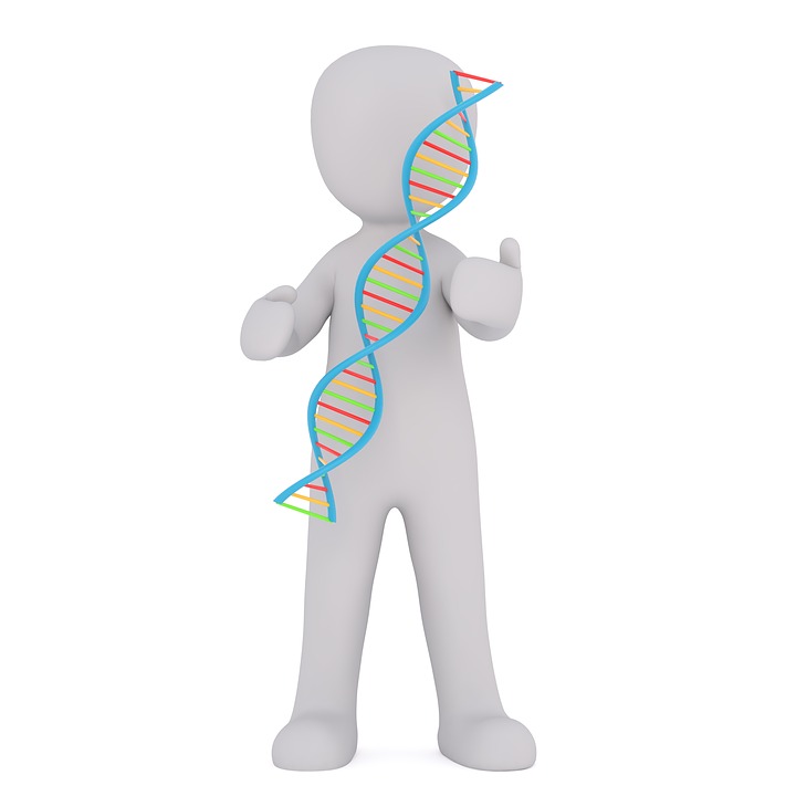 Silueta de ser humano cogiendo un trozo de la cadena de ADN